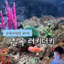 GR(칠곡군)-[석적로]-상-1 | 칠곡 아쿠아리움카페 러키더키 솔직후기