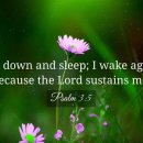 Verse of the day and prayer 이미지