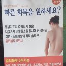 정부순의원 이미지