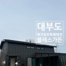 블레스 | 대부도애견동반펜션 블레스가든 솔직후기