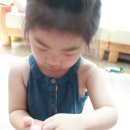 [육아] 4세/자연관찰 책 들이다(w.개똥이네)