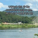 낙동놀자 이미지