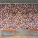 헤이메르 이미지