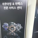 씨혼다이브