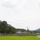 주)진농장 이미지