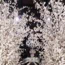 효민1호 이미지