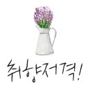 119플러스공인중개사사무소 이미지