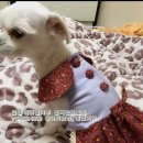 나만의명품옷만들기 이미지