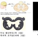 성환-13 이미지