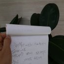 그래채 이미지