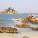 바다정원 이미지