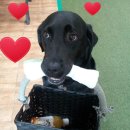 권순호농장 이미지