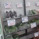 야채랑과일천국 - 파주시 문향로 59-1 | 야채랑과일천국