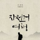 여행숲 이미지