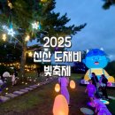 신산약국 | 2025신산 도채비 빛축제 이용꿀팁 실제방문후기 축제용코인 받는법