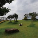 평화유통 이미지