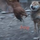 복실