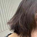 이수연헤어빛채 | 헤어오일을 샴푸 전에? 레오놀그렐 오일 헤어 트리트먼트 사용법 후기