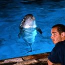 그랑블루 이미지