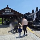 아이캔태권스쿨 | [당일치기 곡성여행-3] 증기기관차 타고 기차마을에서 가정역 왕복, 예매 꿀팁