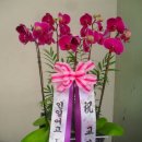 영주기독병원 이미지