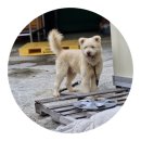 수국작가촌