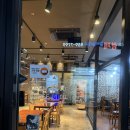 썬더치킨송도1호점 | [인천 송도] “교촌치킨 송도1호점” 매장에서 먹어본 후기