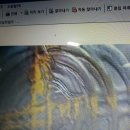 에스키스 이미지