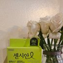 내돈내산 센시안 릴렉스 사이즈 비교 후기, 보통체형 사이즈 추천, 최저가 구매팁까지