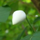 개울건너 이미지