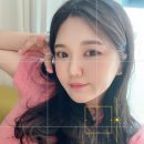 슈가링바이지 이미지
