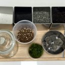 내 책상위의 작은 숲 테라리움 이미지