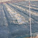 영천농장축사 이미지