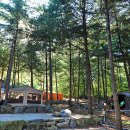 송가네 오가리캠핑장 이미지