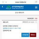 오페라 나비부인 관람 후기 _ 성주문화예술회관