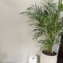 스테이 만천 이미지