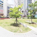 다인로얄팰리스배곧2차 이미지