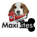 맥시바이트 이미지