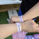 도그앤푸드 | 🌿반려견과 함께 즐기는 특별한 하루, 골드펫 &amp; 도그 베이