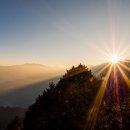 CW-1600-01 이미지