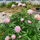 블루밍 태권도장 이미지