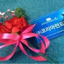 워시엔조이 이미지