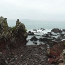 공천포 포구 이미지