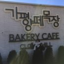 인화목장 | 🌿 가평 여행 2탄｜카페·양떼목장·알파카·썰매까지 하루 코스 추천