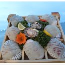 경치상회 이미지