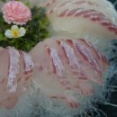 성산일출봉어멍횟집 이미지