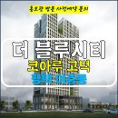 평택 고덕 코아루 더 블루시티 아파트 소형 주택 잔여세대 특별분양 분양가 문의 대표번호 분양 모델하우스 방문 사전예약 안내 이미지