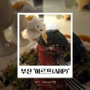 부산 영도 미쉐린 가이드 &lt;아르프(ARP)&gt; 비건 레스토랑 혼밥 예약 1인 코스 메뉴