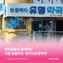 마포지금약국 이미지