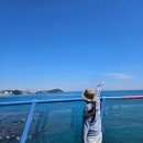 청사포 다릿돌전망대 관광안내소 | 부산가볼만한곳 해운대 청사포 다릿돌전망대 해변열차 가격 운행시간 예약